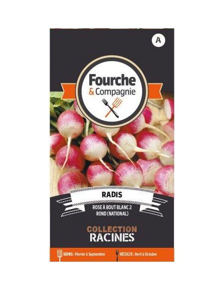 Graines de Radis Rose à Bout Blanc Fourche Compagnie