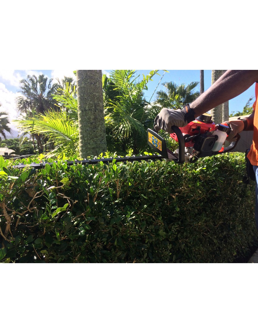 Taille Haies Thermique JL 600  Taille-haie