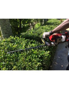 Taille Haies Thermique JL 600  Taille-haie 2