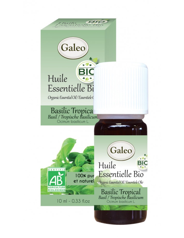 Huile essentielle Bio - Basilic Tropical GALEO  Huile essentielle
