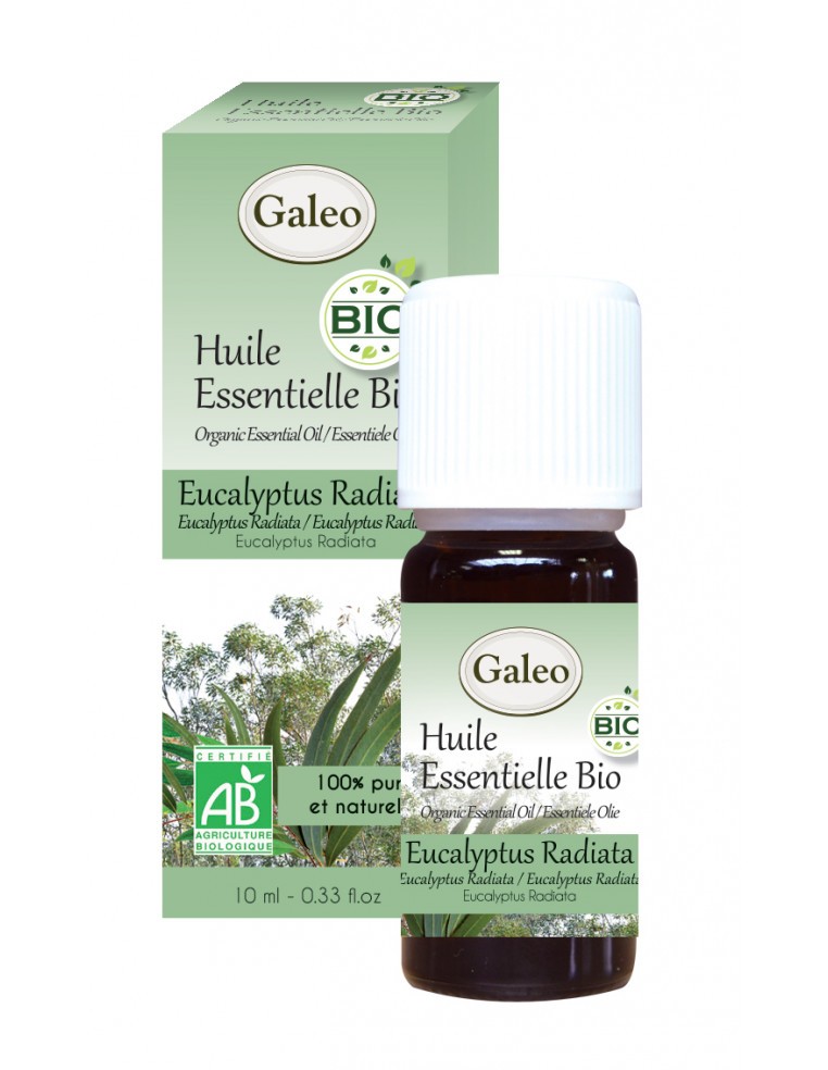 Huile essentielle Bio - Eucalyptus Radiata GALEO  Huile essentielle