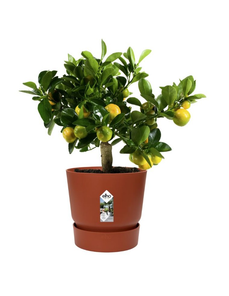 Pot Greenville - Ø30 cm - Brique Elho Pot et bac en plastique rond