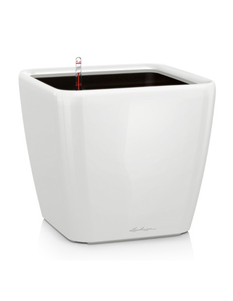 Pot à Réserve d'eau Quadro - LECHUZA Lechuza Pot et bac en plastique carré