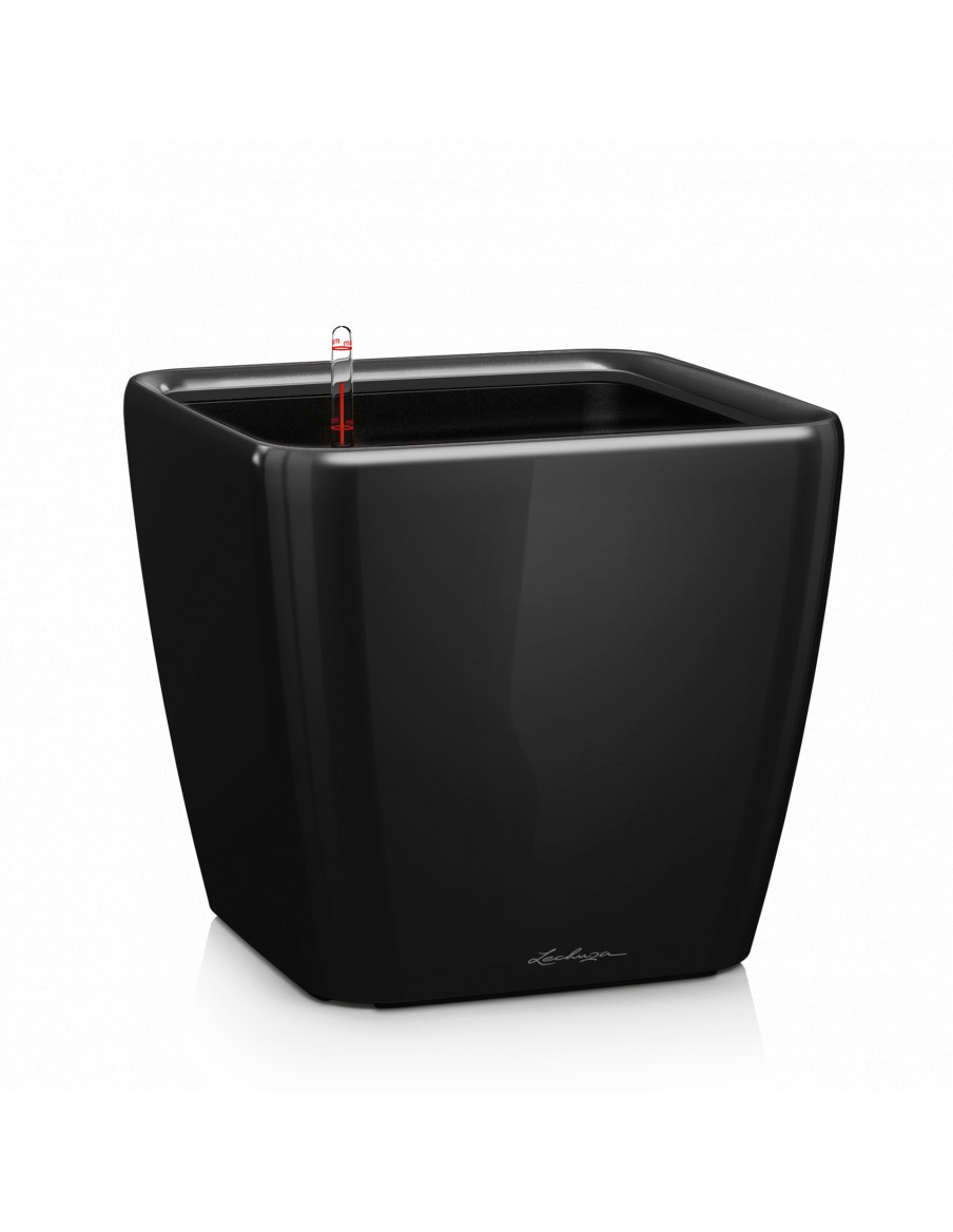 Pot à Réserve d'eau Quadro - LECHUZA Lechuza Pot et bac en plastique carré