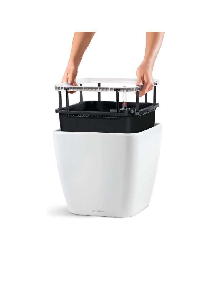 Pot à Réserve d'eau Quadro - LECHUZA Lechuza Pot et bac en plastique carré