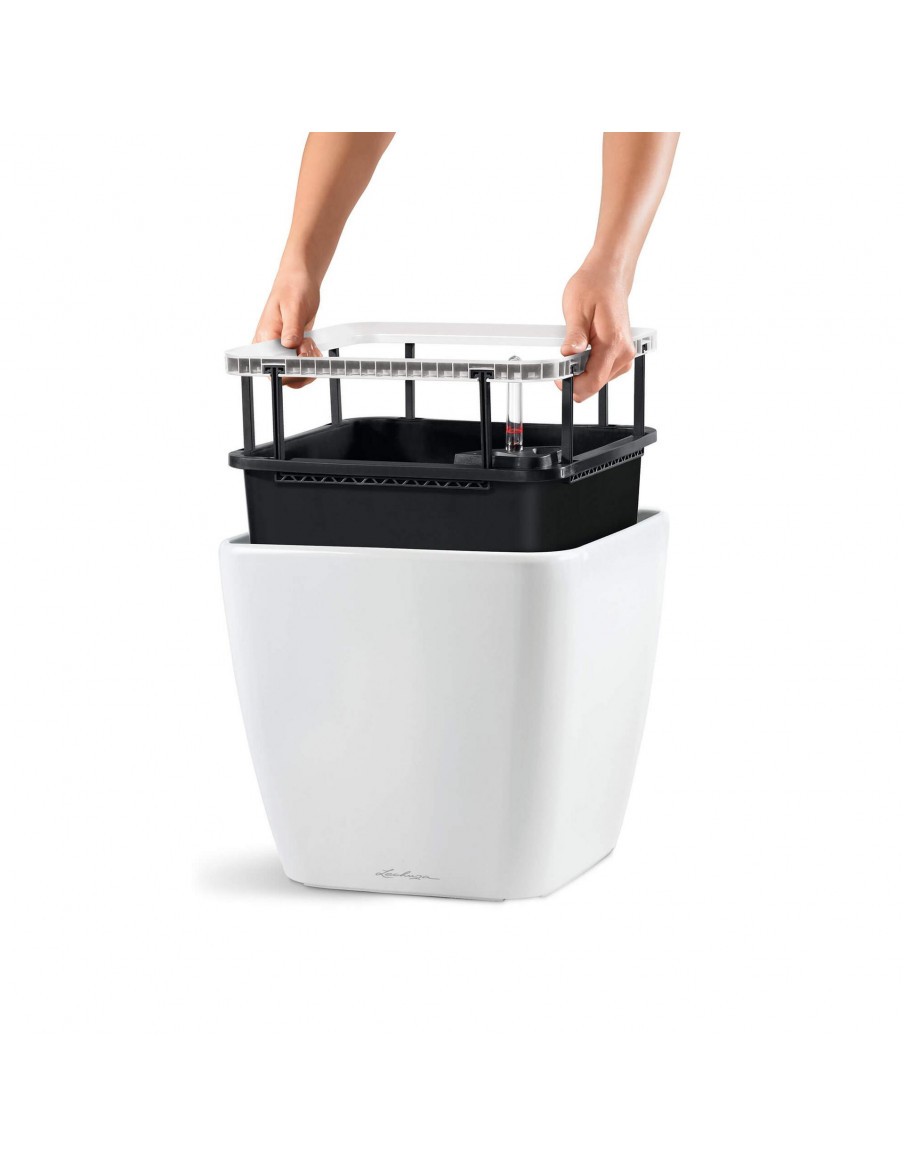 Pot à Réserve d'eau Quadro - LECHUZA Lechuza Pot et bac en plastique carré