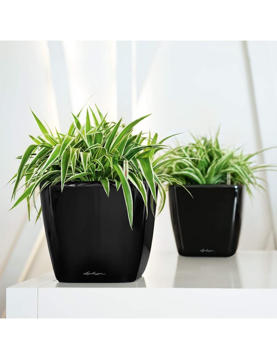 Pot à Réserve d'eau Quadro - LECHUZA Lechuza Pot et bac en plastique carré