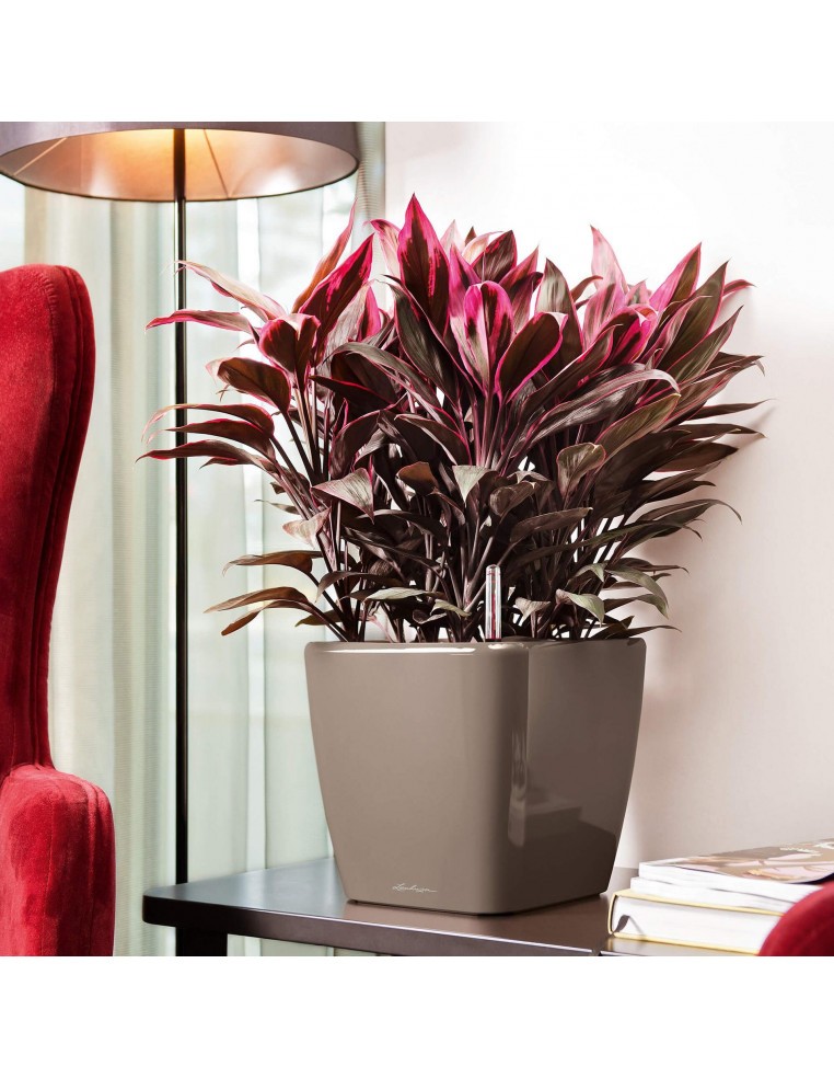 Pot à Réserve d'eau Quadro - LECHUZA Lechuza Pot et bac en plastique carré