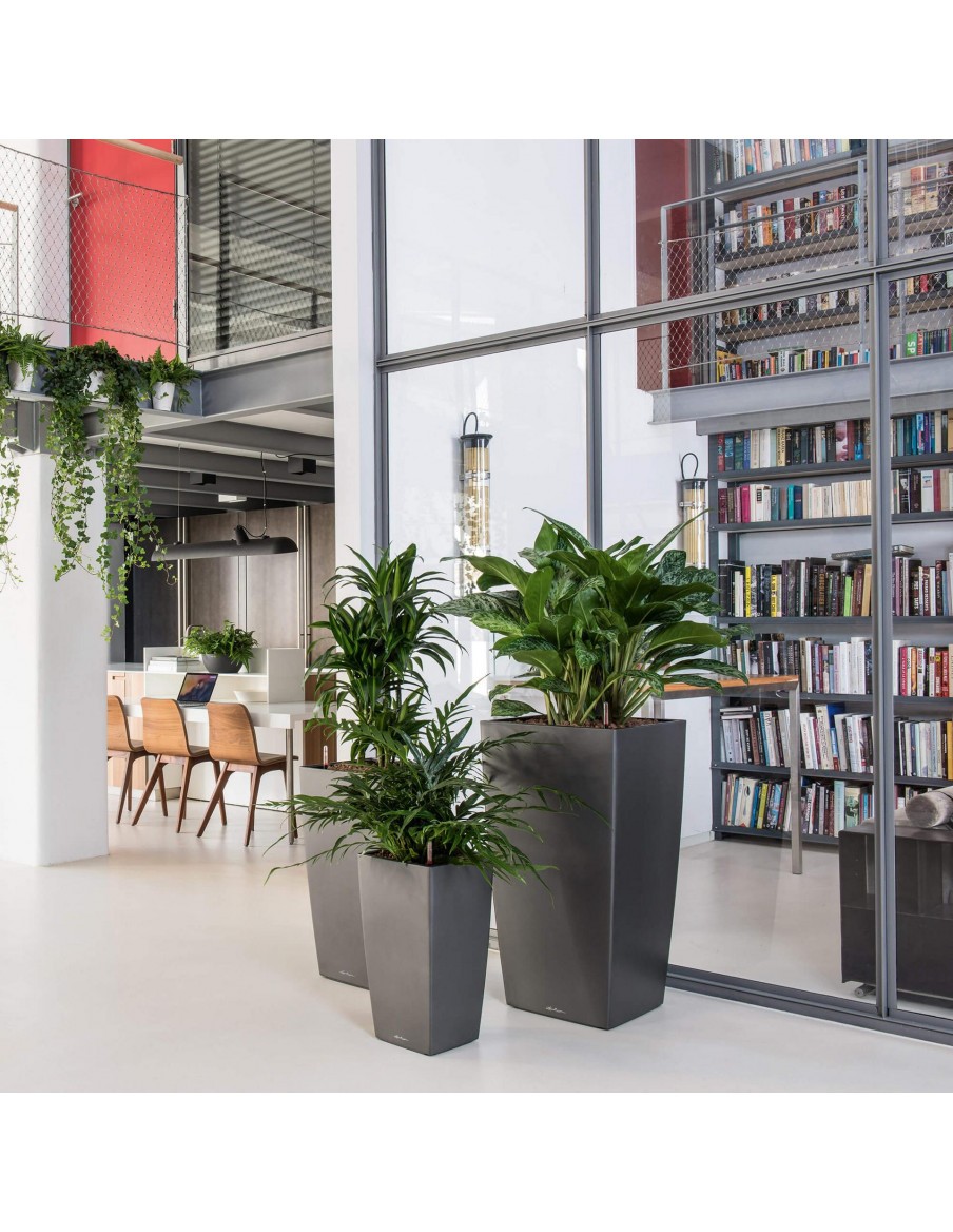 Pot à Réserve d'eau Cubico Taupe - LECHUZA Lechuza Pot et bac en plastique carré