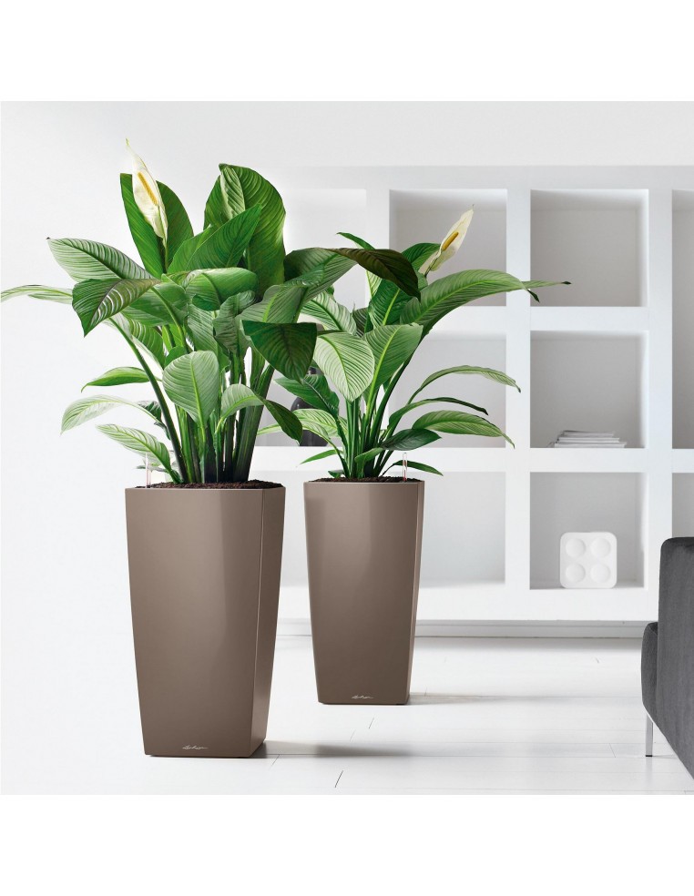 Pot à Réserve d'eau Cubico Taupe - LECHUZA Lechuza Pot et bac en plastique carré