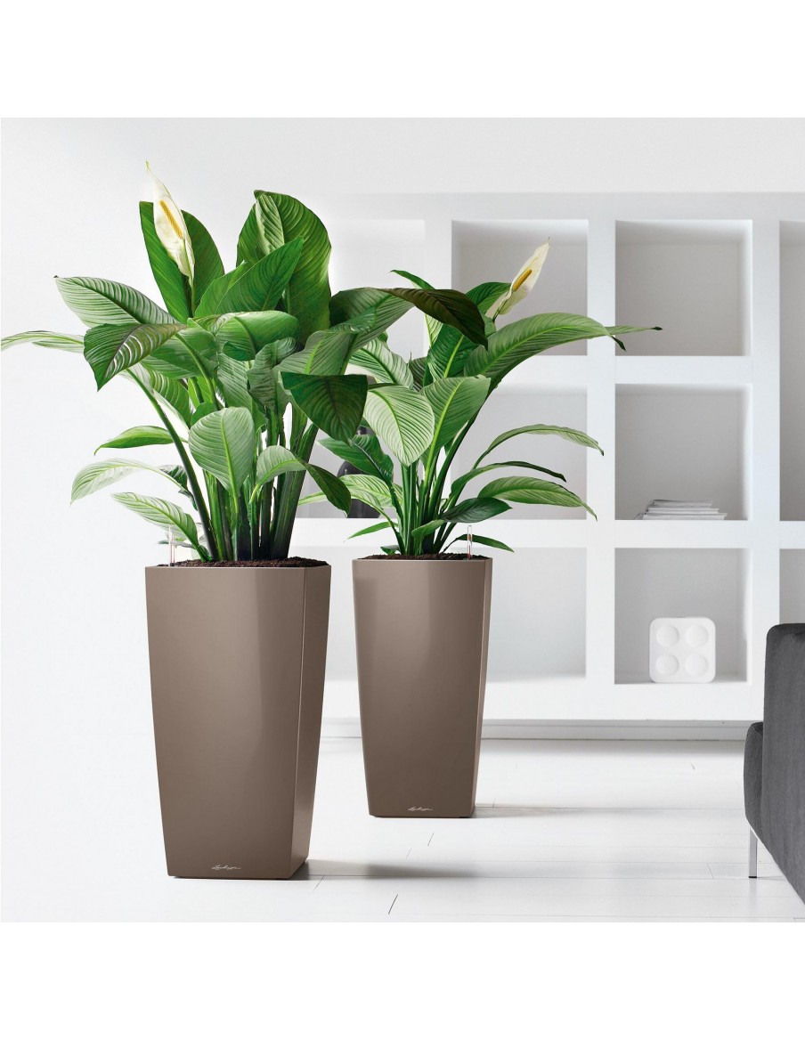 Pot à Réserve d'eau Cubico Taupe - LECHUZA Lechuza Pot et bac en plastique carré