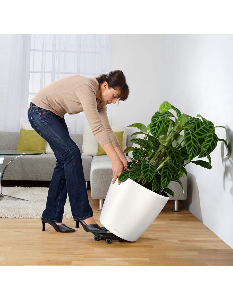 Support à roulettes Lechuza Roule plante et supports pot à roulettes