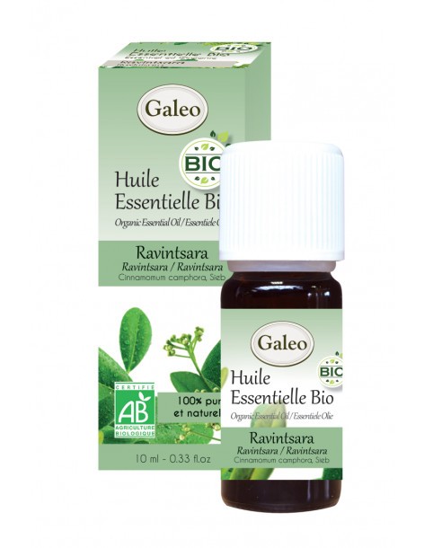 Huile essentielle Bio - Ravintsara GALEO  Huile essentielle