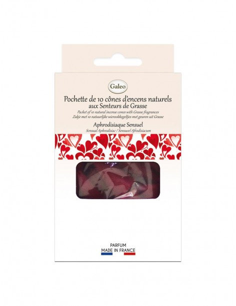 Pochette 10 cônes d'encens GALEO Encens