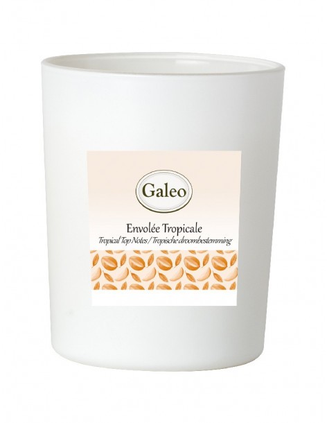 Coffret parfum d'ambiance - Galéo GALEO Diffuseur de parfum 2