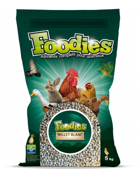 Millet blanc - 5Kg Foodies Alimentation quotidienne