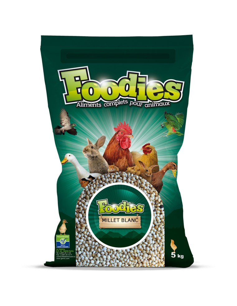 Millet blanc - 5Kg Foodies Alimentation quotidienne