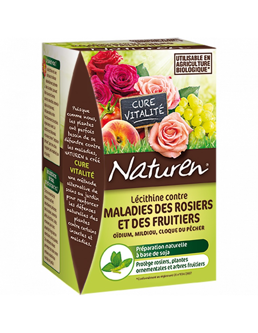 Maladies des rosiers et traitements