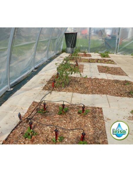 Kit Jardin 10 goutteurs Iriso Goutte à goutte