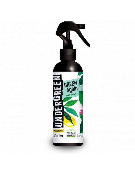 Reverdissant plantes vertes - ALGOFLASH  Graines aromatique