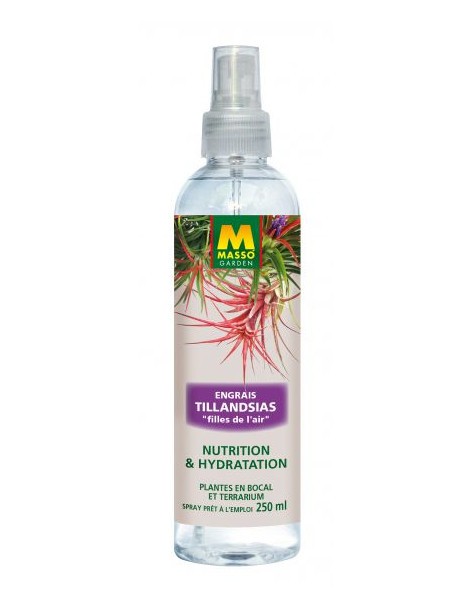 Engrais foliaire tillandsias "filles de l'air" 250 ml Masso Garden Engrais spécifique
