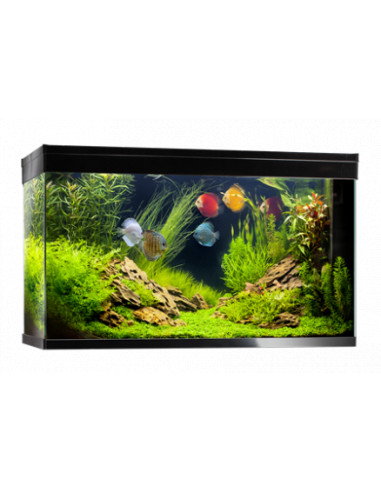 Aquarium INWA Confort 197L Pro  Aquarium pour poisson d'eau chaude