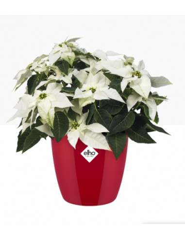 Cache-Pot Brussels Diamant rond rouge - Elho Elho Pot et bac en plastique rond