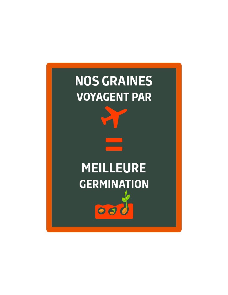 Oeillet d'Inde boléro Vilmorin Graines de plante fleurie