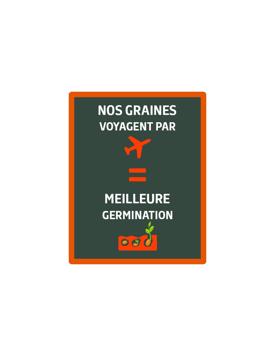 Capucine de Lobb varié Vilmorin Graines de plante fleurie