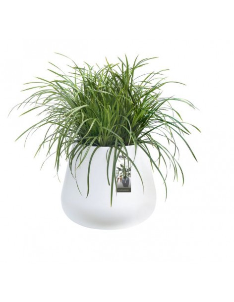 Pot Pure Cone Concrete - Elho Elho Pot et bac en plastique rond 2