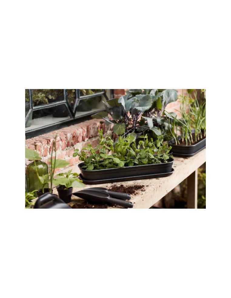 Plateau de culture Green Basics - Elho Elho Matériel de Semis