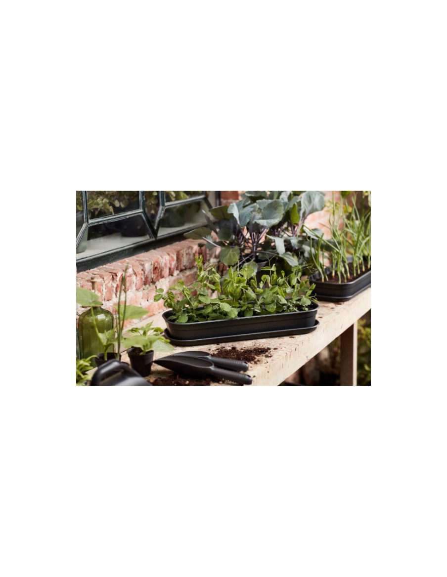 Plateau de culture Green Basics - Elho Elho Matériel de Semis