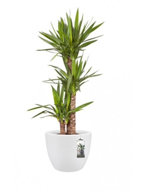 Pot Pure Soft Round - Elho Elho Pot et bac en plastique rond 2