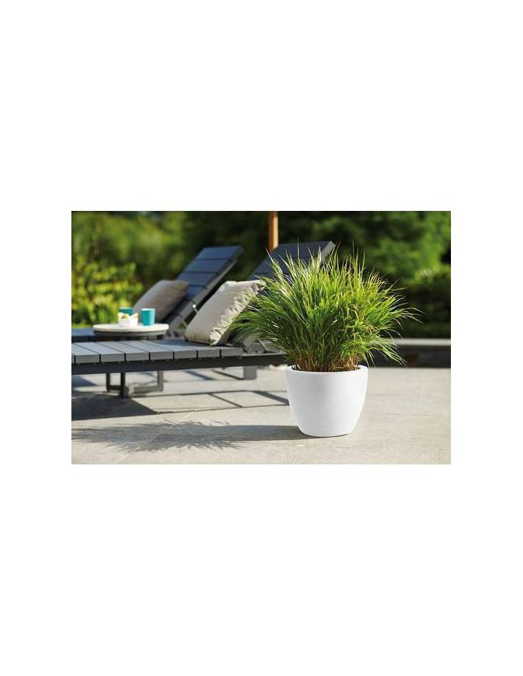 Pot Pure Soft Round - Elho Elho Pot et bac en plastique rond