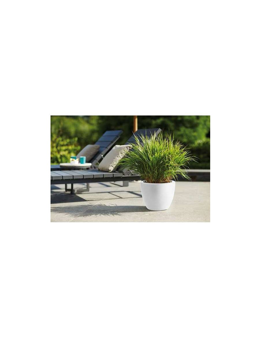 Pot Pure Soft Round - Elho Elho Pot et bac en plastique rond