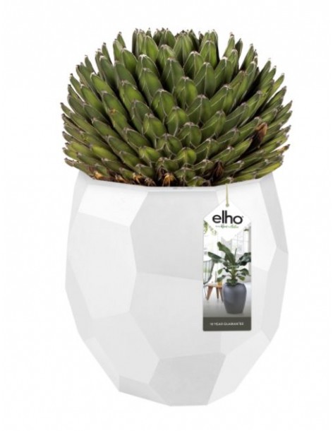 Pot Pure Edge - Elho Elho Pot et bac en plastique rond 2
