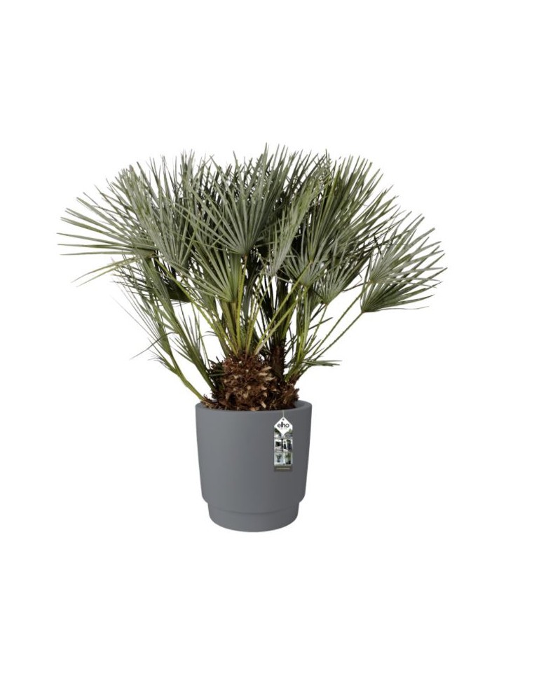 Pot Pure Grade - Elho Elho Pot et bac en plastique rond