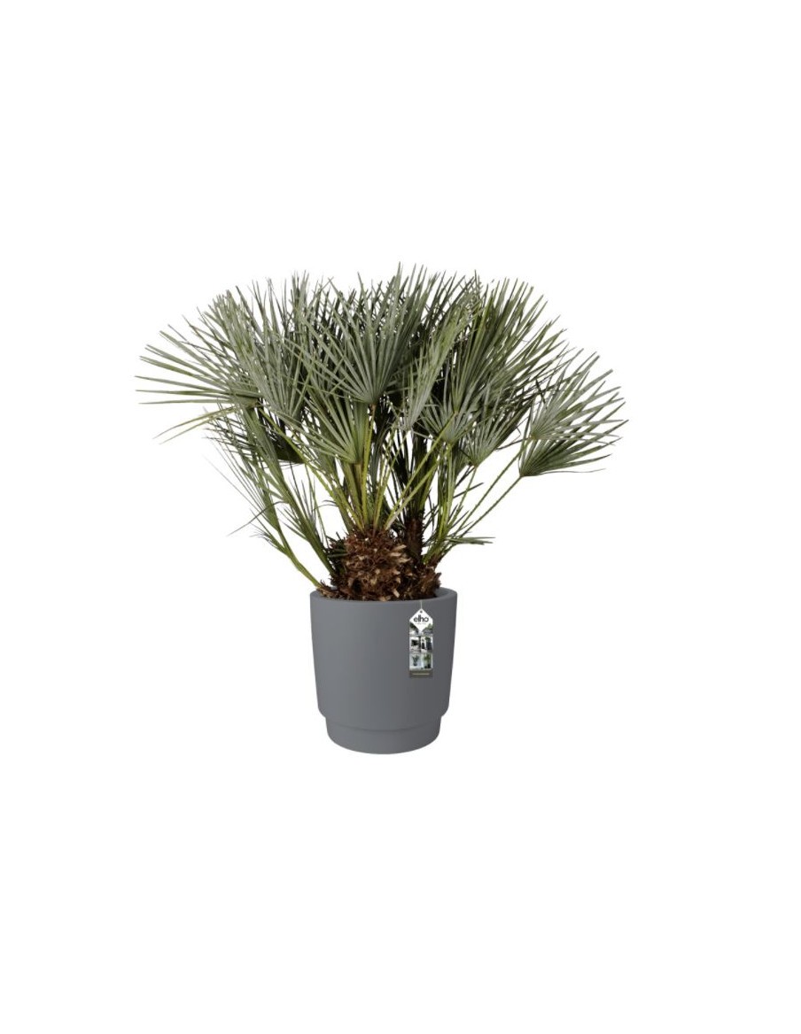 Pot Pure Grade - Elho Elho Pot et bac en plastique rond