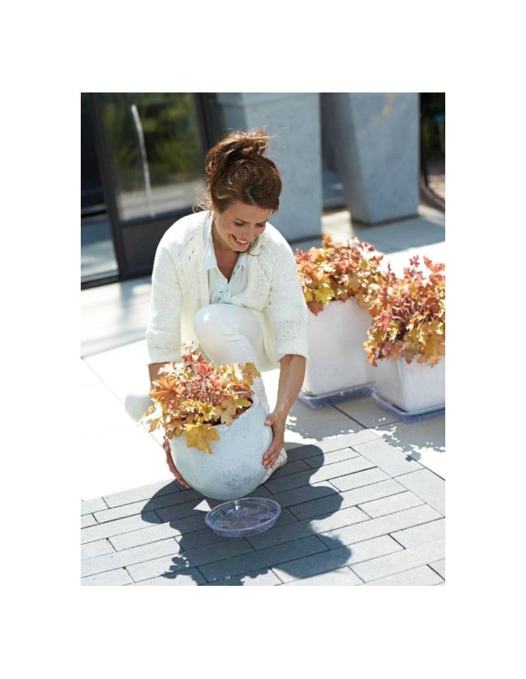 Uni-soucoupe ronde transparente Elho Soucoupe pour pot et bac en plastique