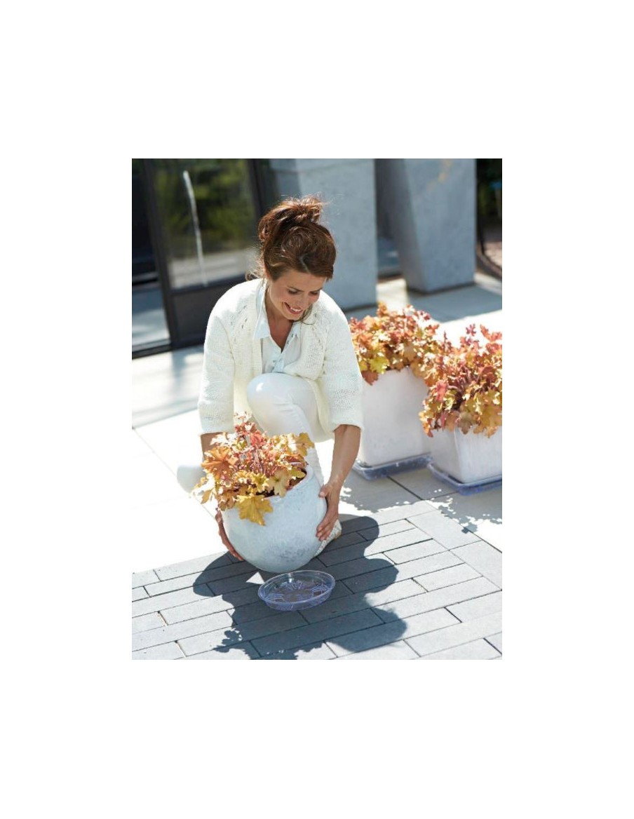 Uni-soucoupe ronde transparente Elho Soucoupe pour pot et bac en plastique