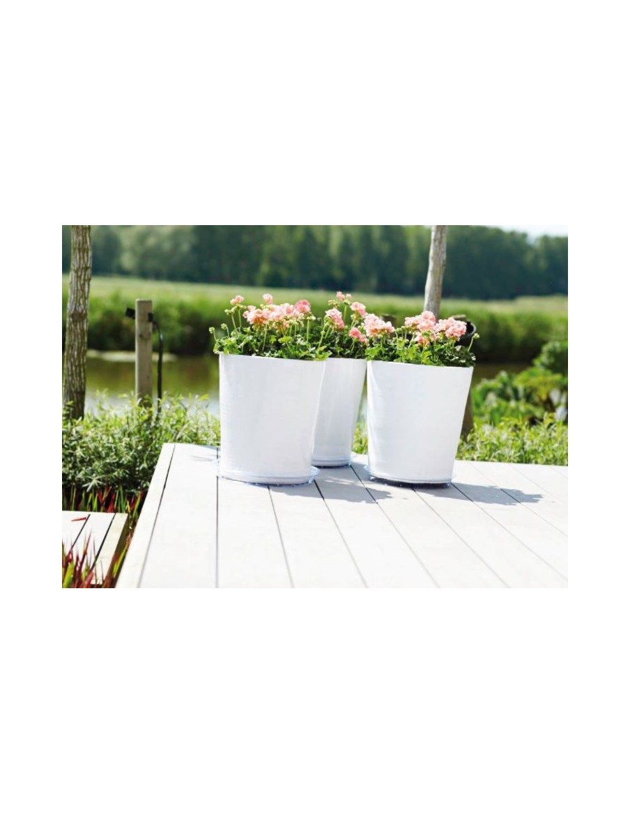 Uni-soucoupe ronde transparente Elho Soucoupe pour pot et bac en plastique