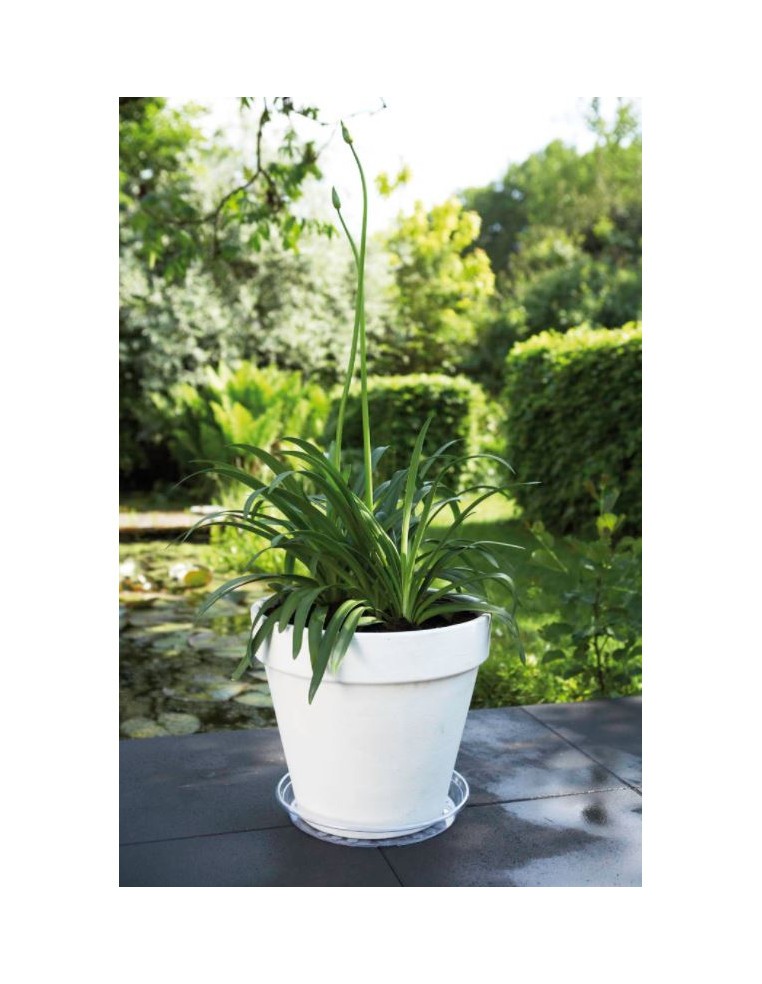 Uni-soucoupe ronde transparente Elho Soucoupe pour pot et bac en plastique