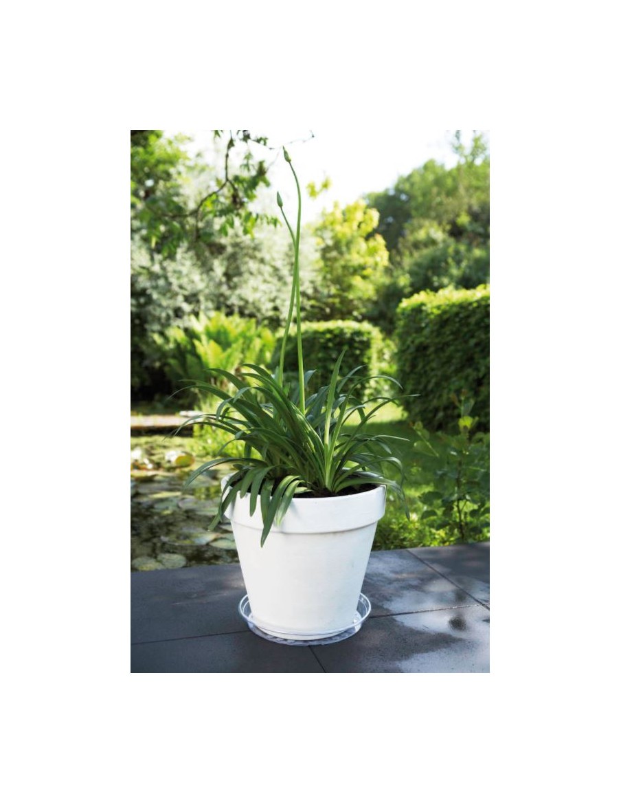 Uni-soucoupe ronde transparente Elho Soucoupe pour pot et bac en plastique