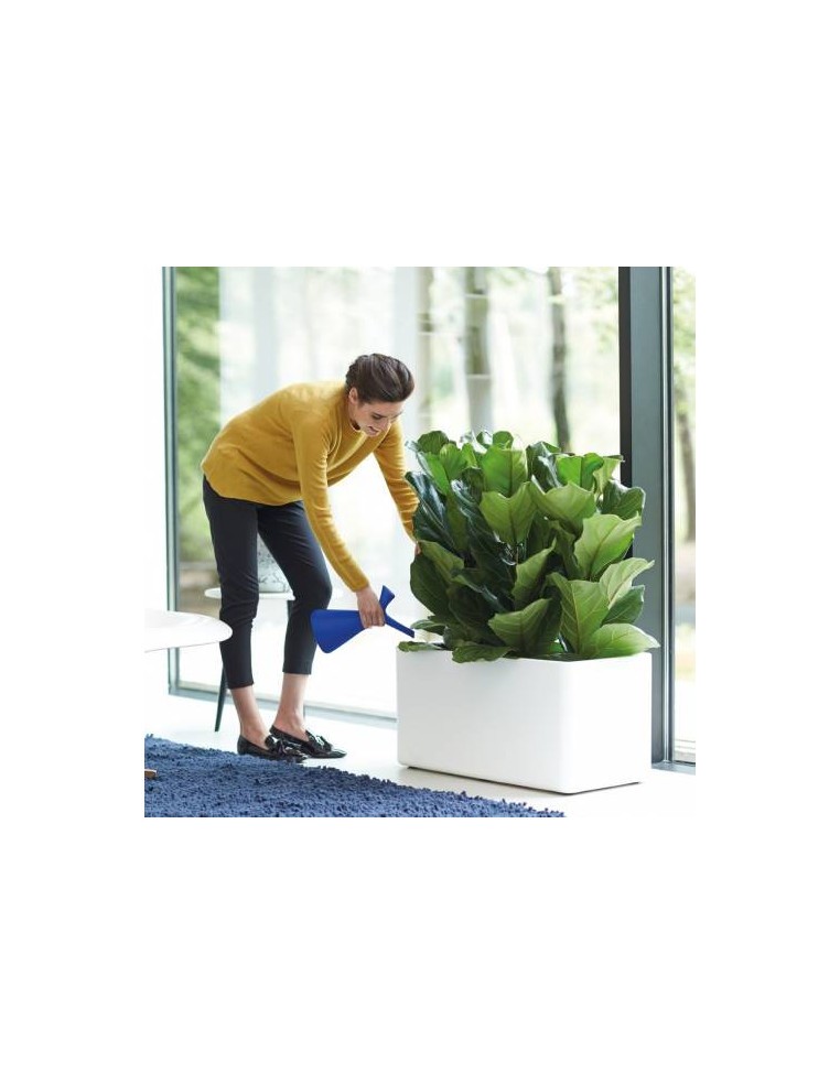 Arrosoir Plunge 1.7 Litre Elho Arrosoir et vaporisateur