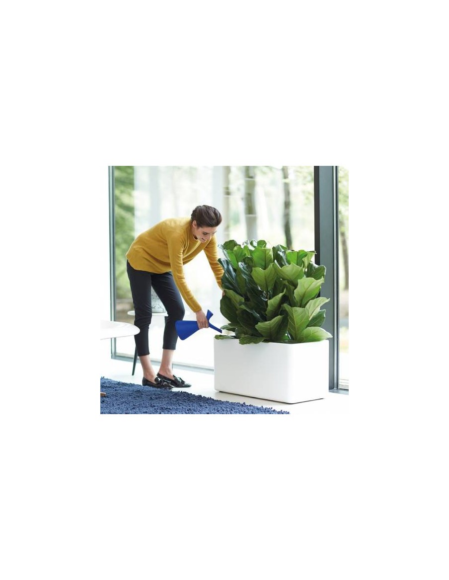 Arrosoir Plunge 1.7 Litre Elho Arrosoir et vaporisateur