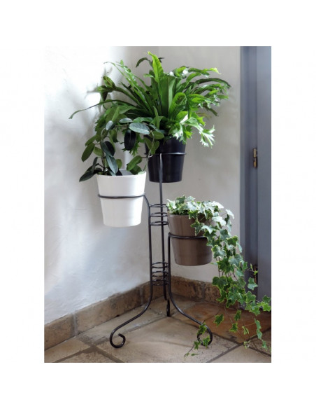 Porte-plantes 3 pots Louis Moulin Roule plante et supports pot à roulettes