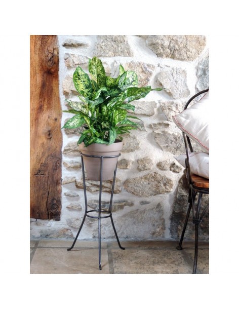 Louis Moulin Colonne Porte-Plante Hauteur 78cm Pour Pot 24-26cm - Fer Vieilli Made In France