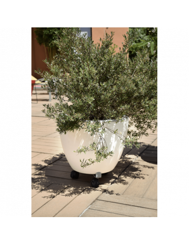 Support à 3 roues extensibles Louis Moulin Support pour jardinière