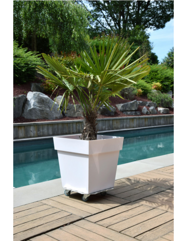 Support à 4 roues en aluminium Louis Moulin Support jardinière