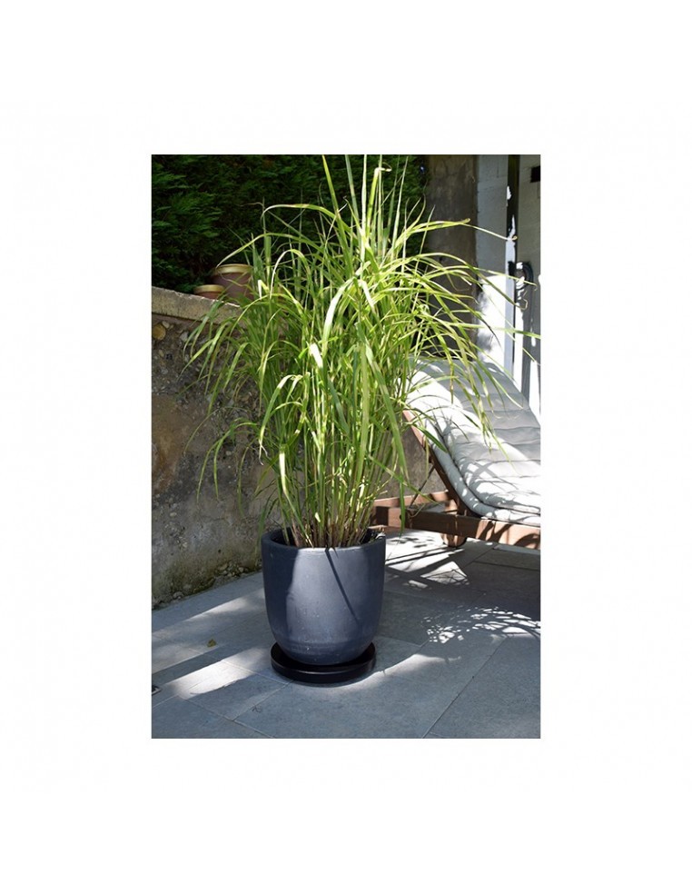 Support pour plantes "Contemporain" Louis Moulin Support jardinière